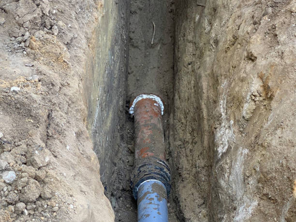 Best Flood restoration services  in Three Points, AZ