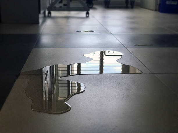 Best Water damage restoration near me  in Three Points, AZ