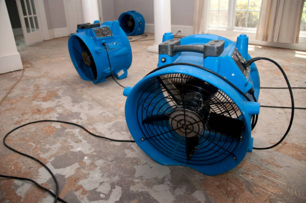 Best Flooded house restoration  in Three Points, AZ