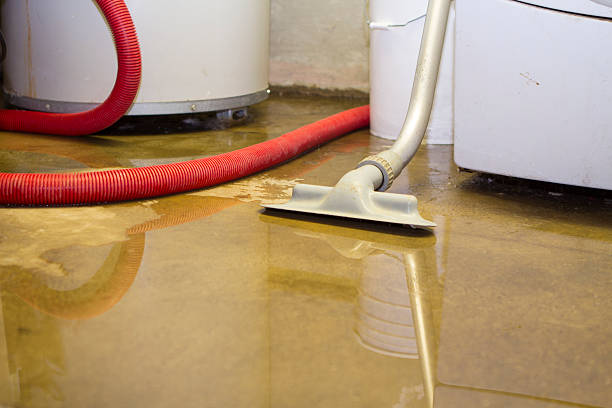 Best Water damage restoration near me  in Three Points, AZ