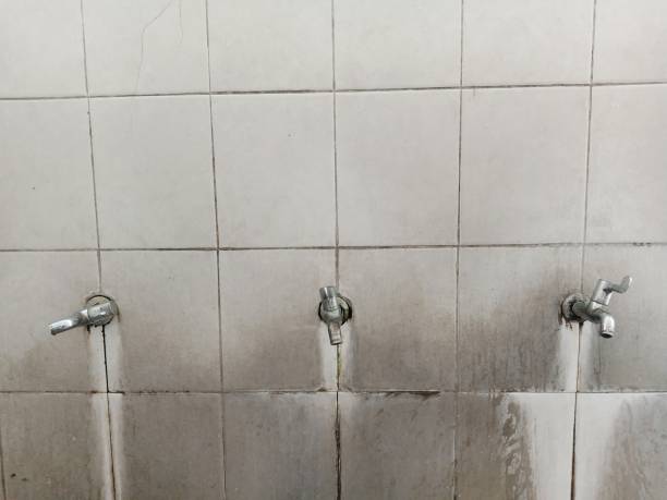Best Basement water damage restoration  in Three Points, AZ