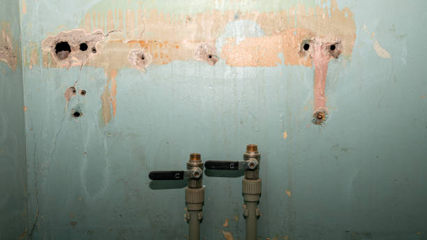 Best Ceiling water damage repair  in Three Points, AZ