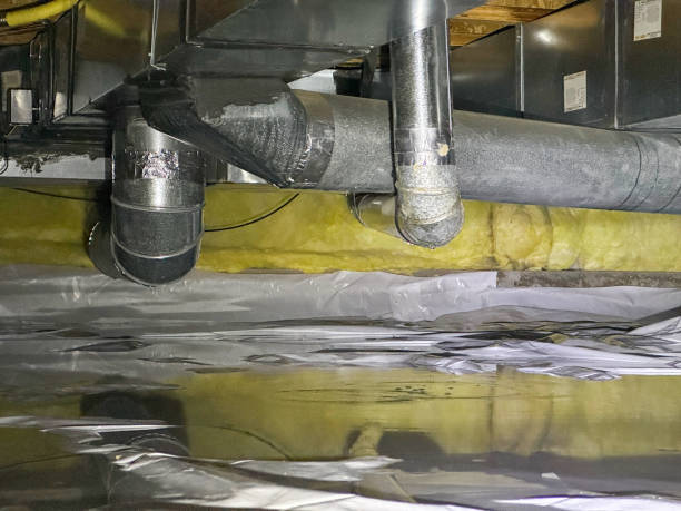 Best Water damage cleanup near me  in Three Points, AZ