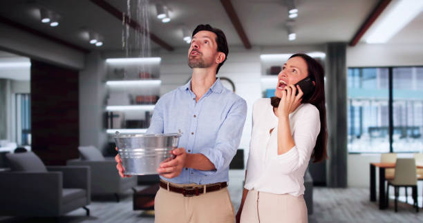 Best Water damage restoration cost  in Three Points, AZ