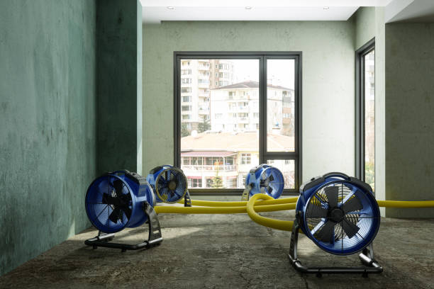 Water damage restoration mold remediation in AZ