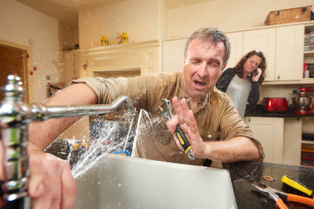 Best Water damage contractors near me  in Three Points, AZ